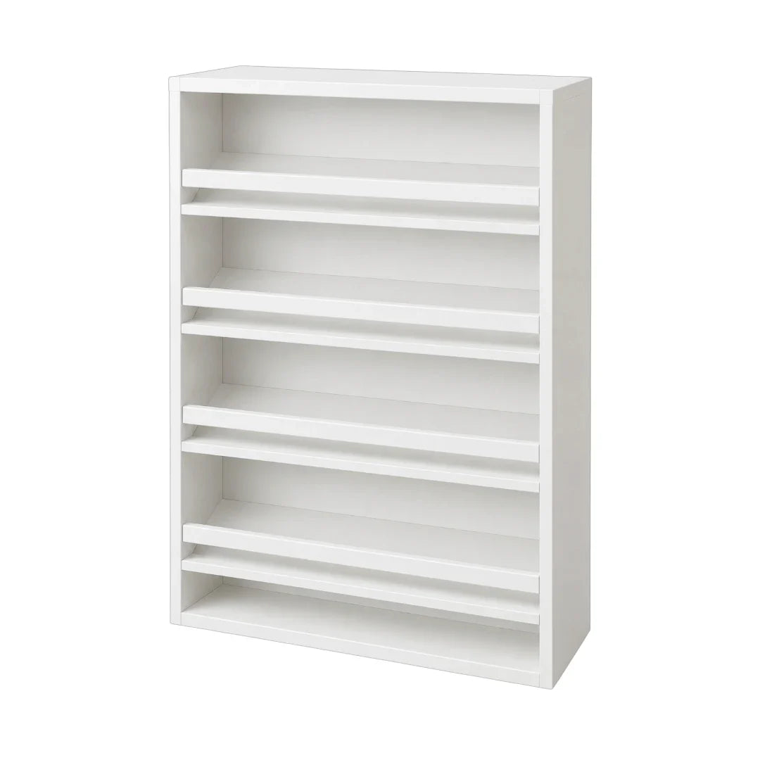 Shoe Organizer